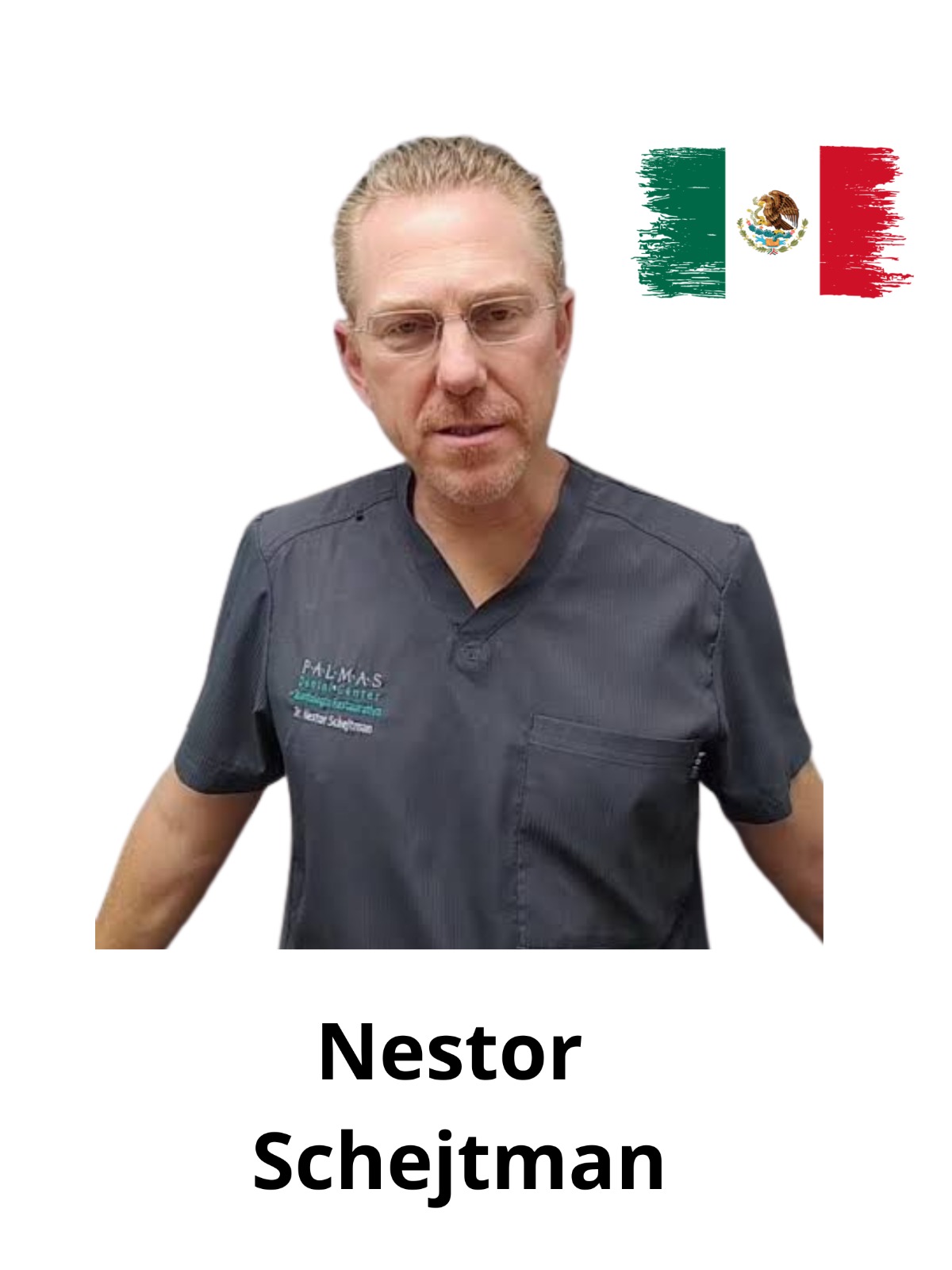 Nestor Schejtman